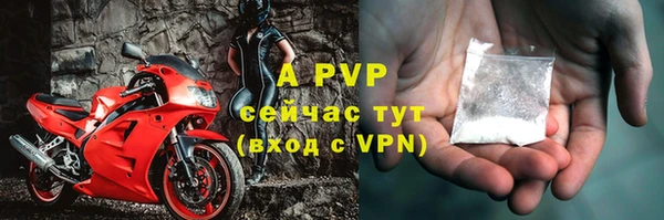 ешки Алексин