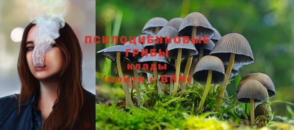 ешки Алексин
