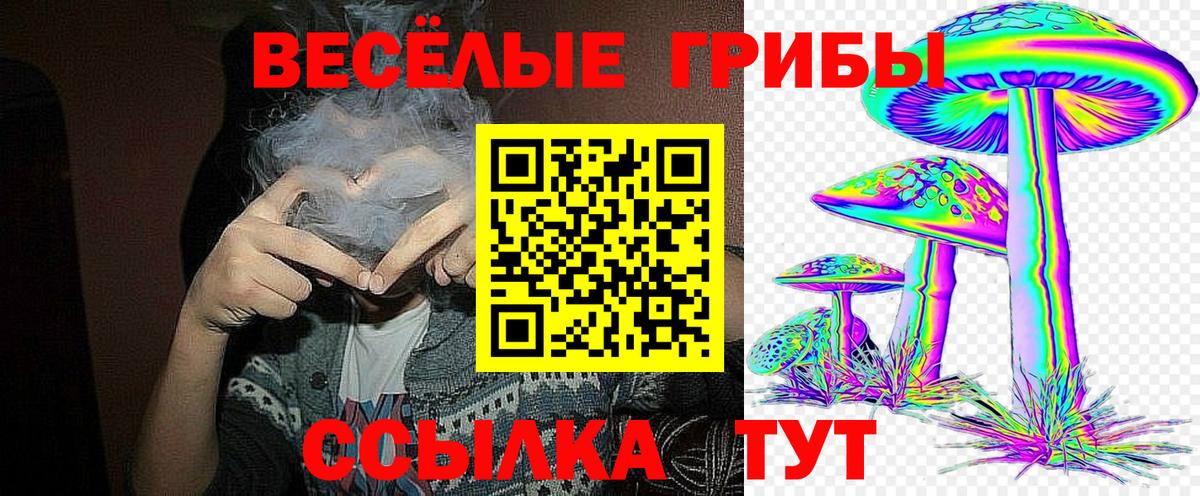 Галлюциногенные грибы мицелий Тара