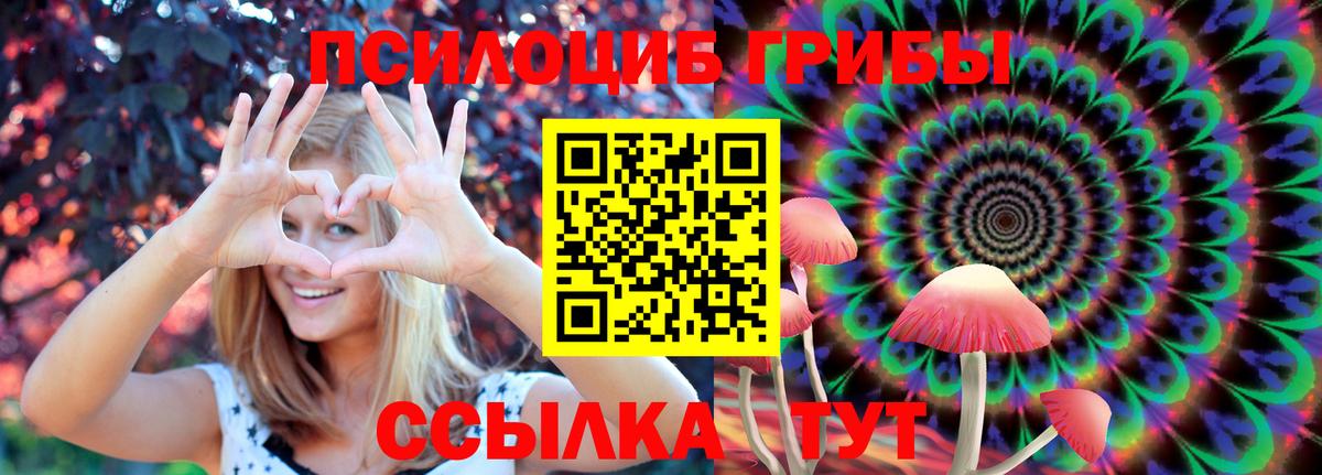 Тара  Галлюциногенные грибы мицелий  Вход с VPN 